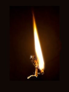 Brændende sommerfugl 8, 2013 (Lambda print) af Mat Collishaw