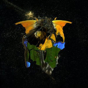 Insekticid 14, 2009 (C-type fotografi)