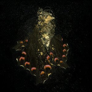 Insekticid 28, 2011 (C-type fotografi) af Mat Collishaw