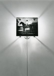 Stubbs heste af Mat Collishaw