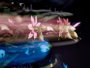 The Centrifugal Soul, 2016 (Akryl, aluminium, stål, LED-lys, motor, elektroniske kredsløb, harpiks og maling) af Mat Collishaw