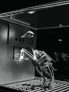The Machine Zone, 2019 (Stål, aluminium, servomotorer) af Mat Collishaw