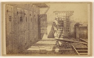 [Bure, hvor slaver blev holdt] af Mathew B. Brady