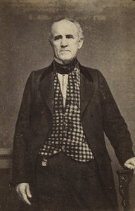Sam Houston, ca. 1860-65 (albumen-sølvtryk) af Mathew B. Brady