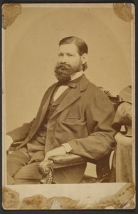 Thomas Davidson Jr. af Mathew B. Brady