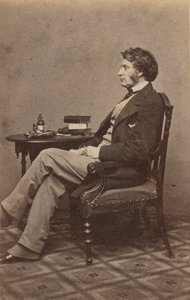 Portræt af Charles Sumner, 1860