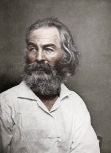 Walt Whitman, amerikansk digter, c1880