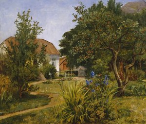 Sommerhave med hus