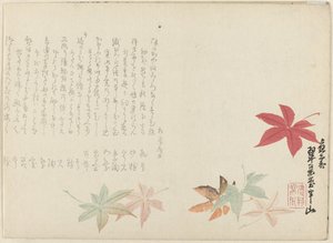 Japansk ahorn af Matsukawa Hanzan