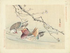 to ænder Blomster- og fugleskitser fra Keibun - del 1 (serietitel) Keibun kacho gafu zen pen (serietitel på objekt) af Matsumura Keibun