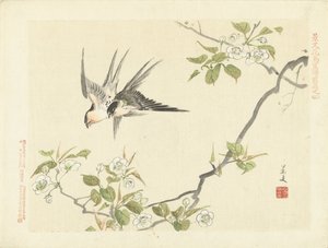 To svaler Blomster- og fugleskitser fra Keibun - del 1 (serietitel) Keibun kacho gafu zen pen (serietitel på objekt)