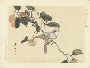 Fugl og persimmon Blomster- og fugleskitser fra Keibun - del 1 (serietitel) Keibun kacho gafu zen pen (serietitel på objekt)