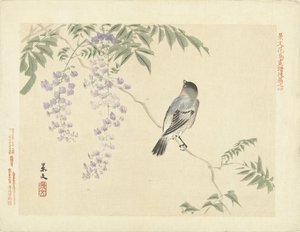 Fugl på blåregn gren Flower and Bird Skitser af Keibun - del tre (serietitel) Keibun kacho gafu kohen (serietitel på objekt)