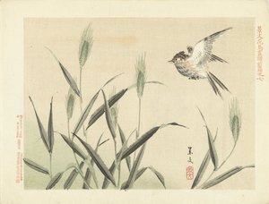 Fugl flyver på græs Blomster- og fugleskitser fra Keibun - del 1 (serietitel) Keibun kacho gafu zen pen (serietitel på objekt) af Matsumura Keibun