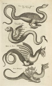 Fane XII, Mytiske væsner, Drager, Illustration fra 
