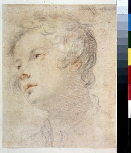Hovedet af en dreng. Maleri af Matteo Rosselli (1578-1650). Kridt og rødt kridt på papir