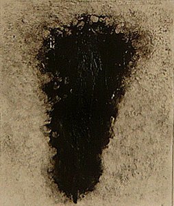 ossie, 2009 (helioprint) af Matthew Hilton