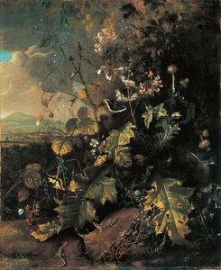 Skovbund med sommerfugle og firben af Matthias Withoos