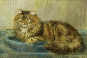 Persisk kat pastel af Maud D. Heaps