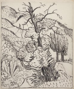 Tree on Mountainside, ca. 1930 (pensel, blæk og kul på råhvidt vævet papir) af Maud Hunt Squire