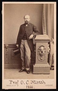 Portræt af Othniel Charles Marsh 1831-1879, 1866.