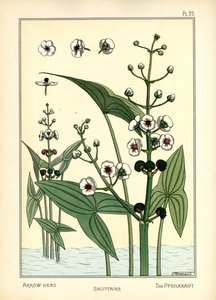 Pilespidsen (farve litho) af Maurice Pillard Verneuil