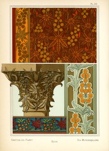 Castor Oil Plant (farve litho) af Maurice Pillard Verneuil