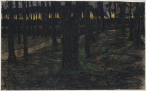 Skovudsigt ved solnedgang