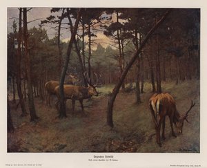 Tysk kronhjort (farvelitografi) af Max Hunten Hunten