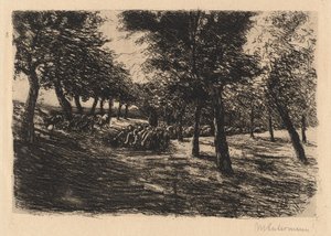 Flok får under træer af Max Liebermann