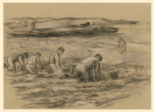 Kartoffeludgraver i Zandvoort af Max Liebermann
