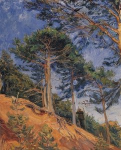 Jæger på bjergsiden. 1903