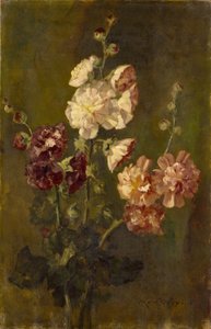Stokroser