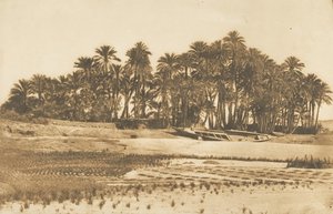Udsigt over Elephantine Island, overfor Aswan, 1849-50. af Maxime Du Camp