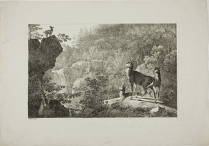 Hjorten og gemsene af Maximilian Josef Wagenbauer