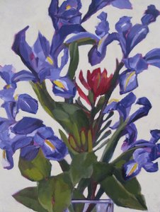 Farverig iris-buket af Maxine Shore