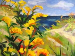 Gule klitblomster
