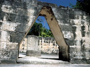 Korbelbue af Mayan