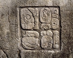 Glyfer i huset C, gårdhave 2 i paladset af Mayan