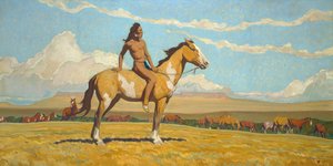 Pony-drengen