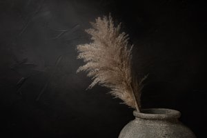 Mørk rustik pampas af Mayra Pama