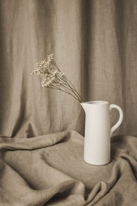 Minimalistisk blomsterstilleben af Mayra Pama