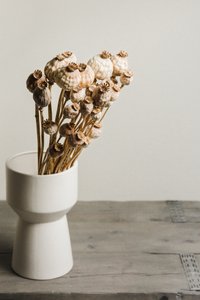 Naturlig vase med valmuekapsler af Mayra Pama