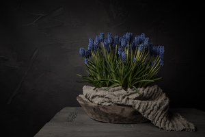 Rustikke blå blomster af Mayra Pama