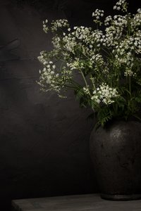 Stilleben med hvide vilde blomster af Mayra Pama