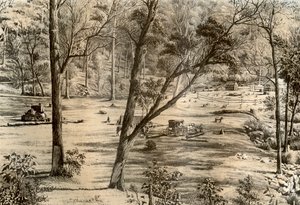 Fri udvælgerhytte, Australien, 1879