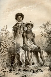 Maorier og tæppeslange, New Zealand, 1879