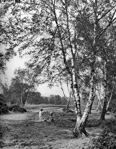 Putney Heath, London, 1926-1927 af McLeish