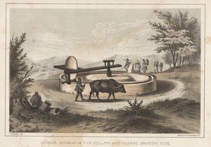 Kinesisk apparat til afskalning og grovmaling af ris, 1855 af Meffert