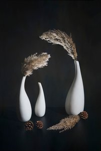  af Mei Su